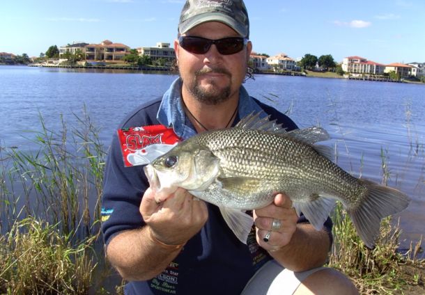 Federal Environment Minister Tony Burke.
